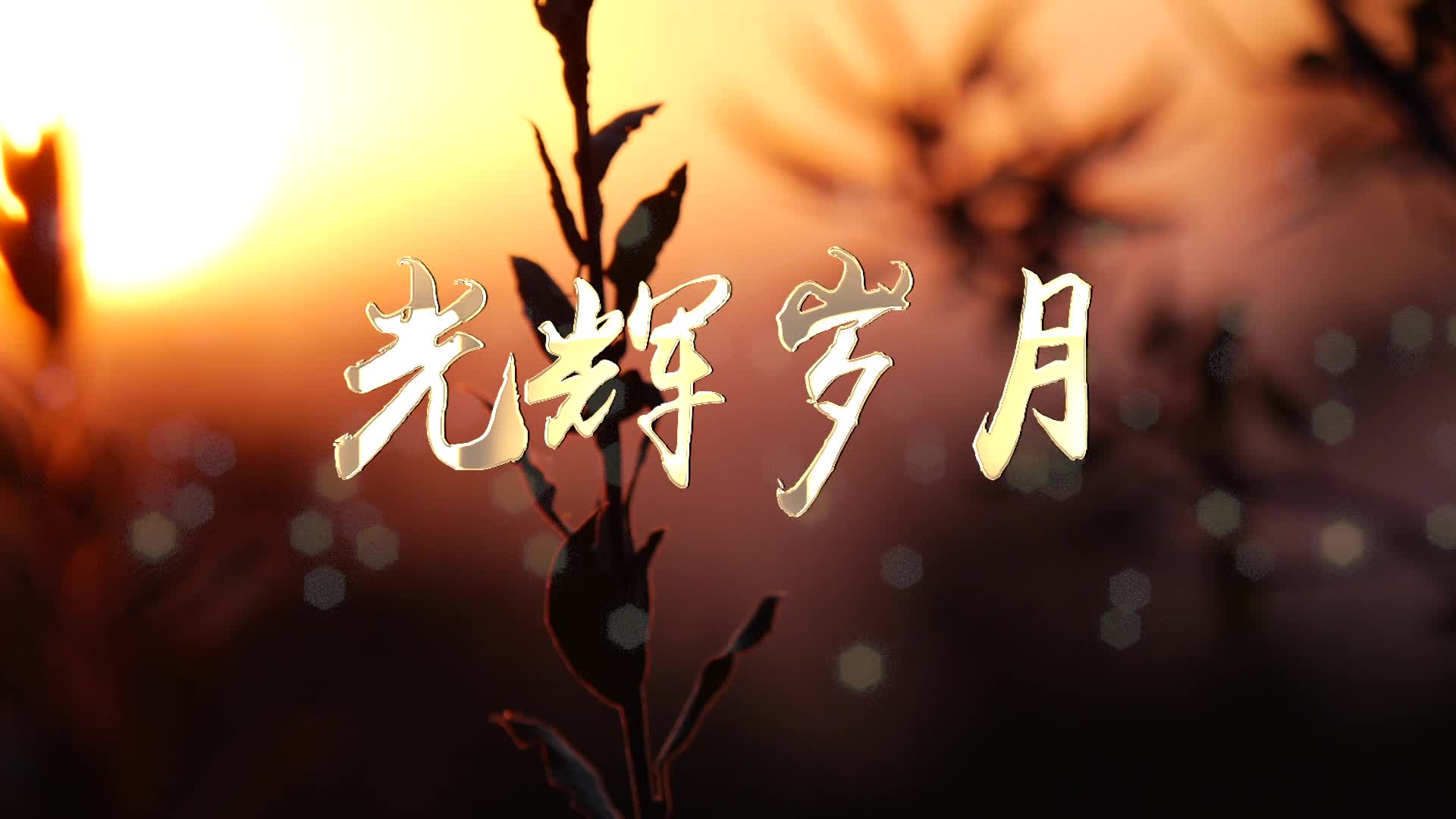 国语版光辉岁月led视频背景-有词
