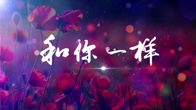 歌曲和你一样视频背景-有词
