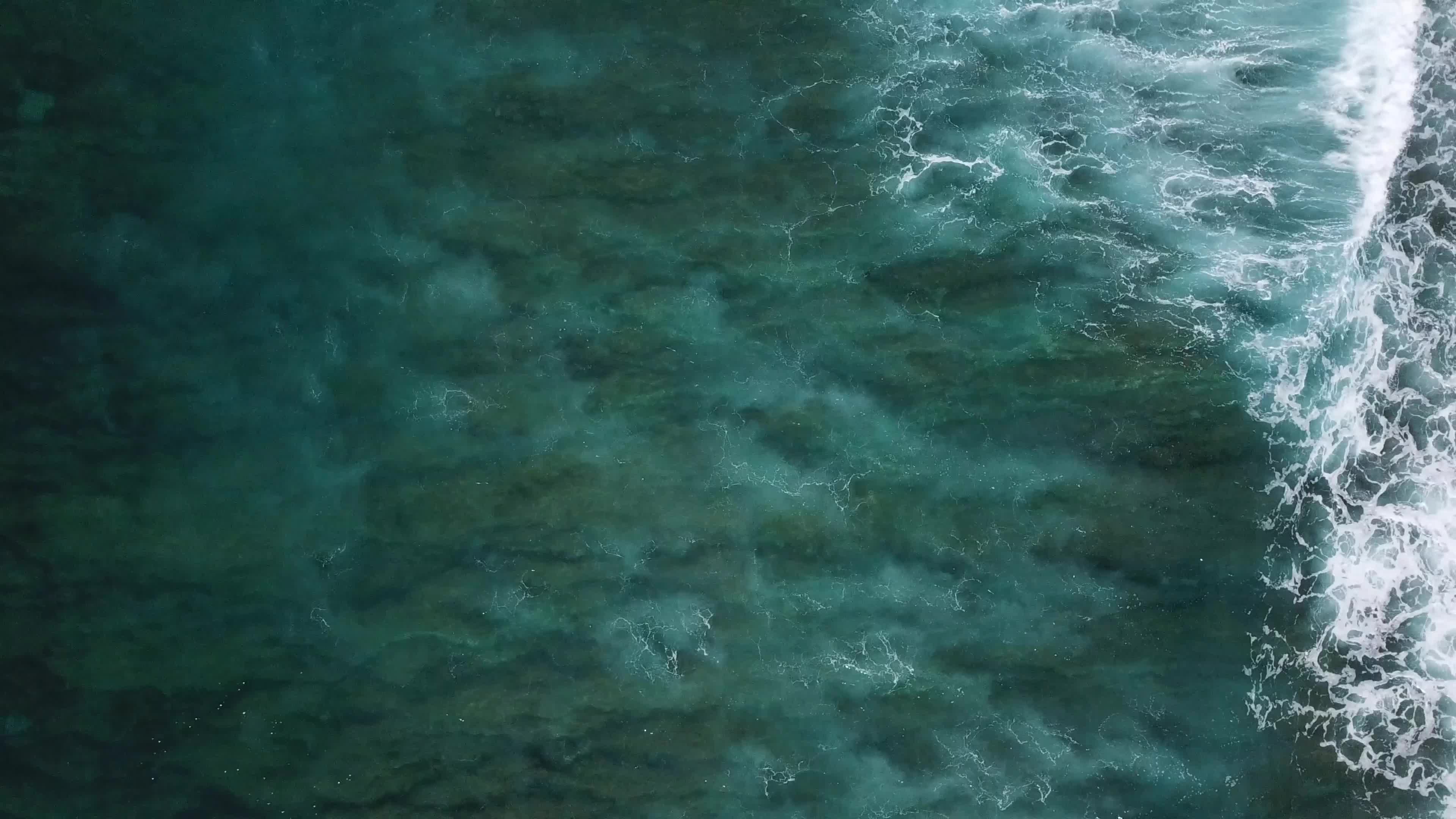 浪花