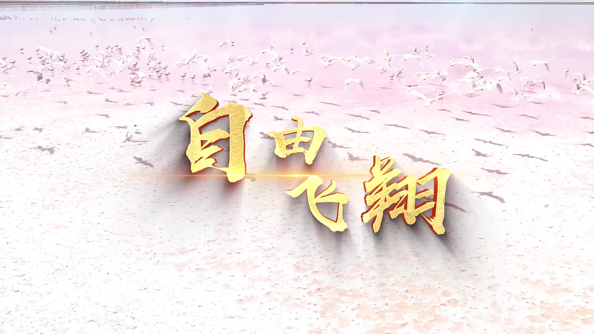 凤凰传奇自由飞翔led视频背景-有词