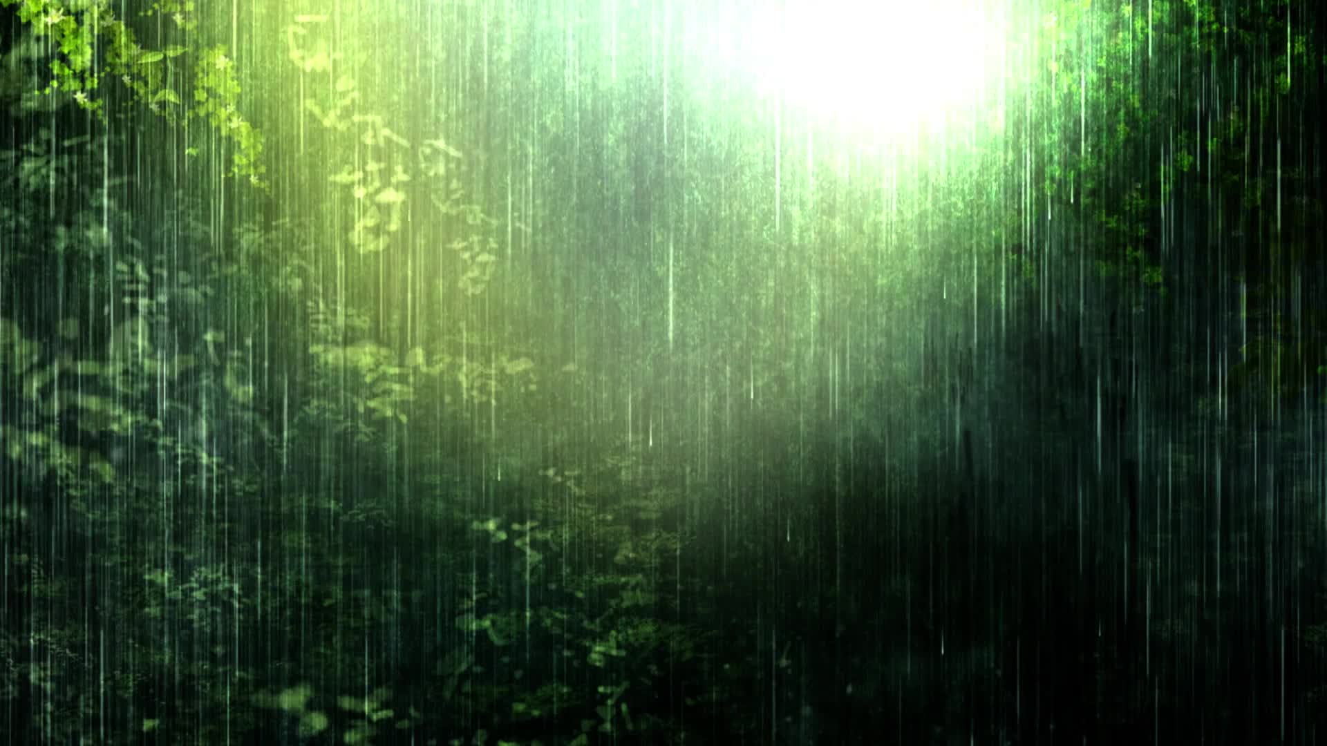 夏天森林下雨led视频背景