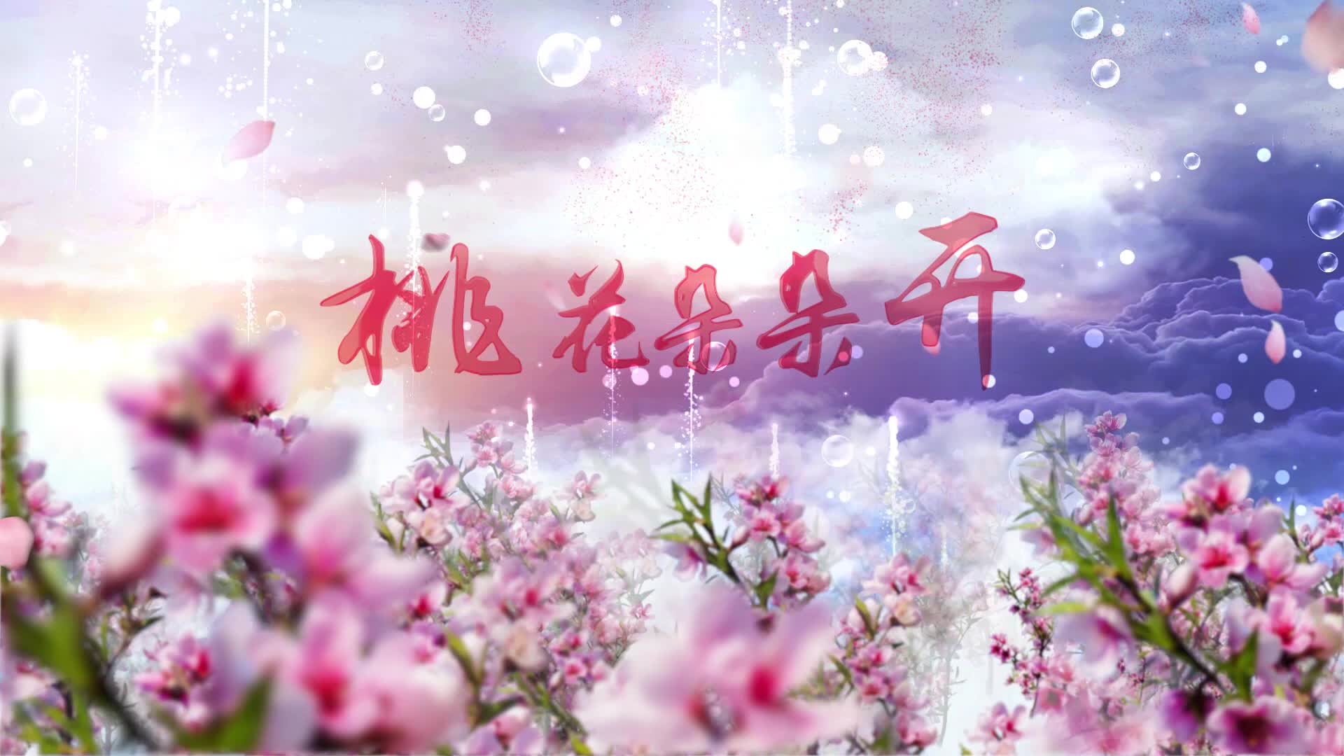 歌曲桃花朵朵开led视频背景