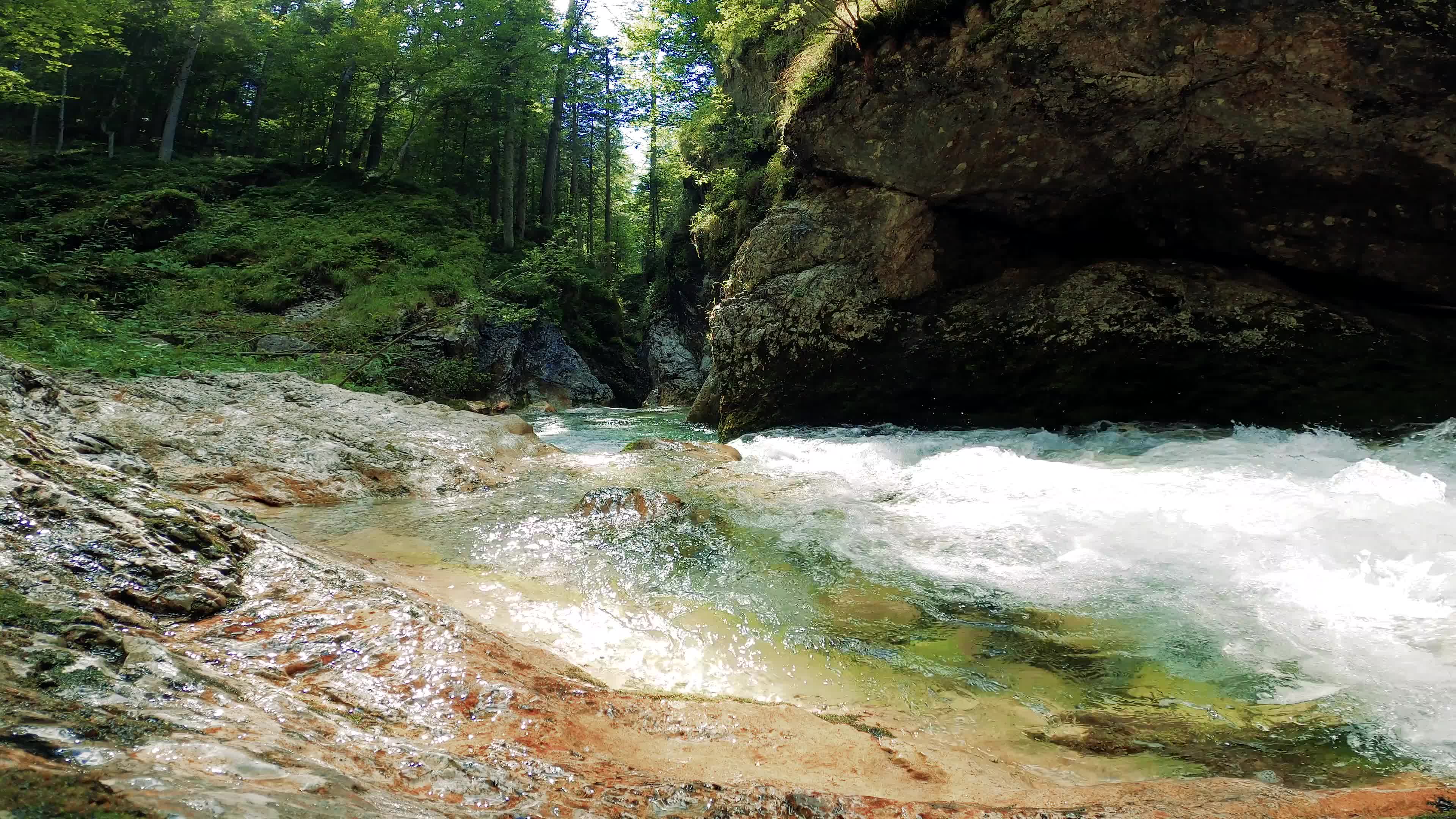 实拍森林小溪河流视频素材