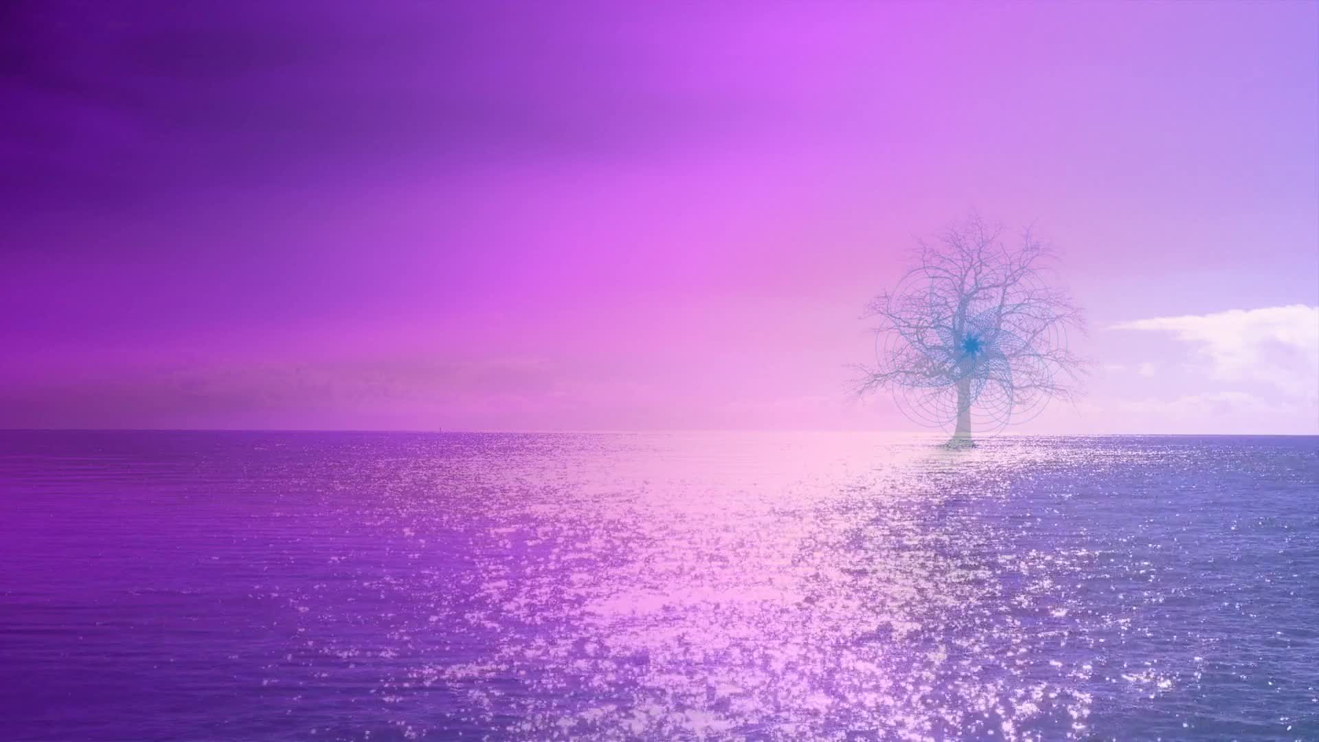 紫色大海美景