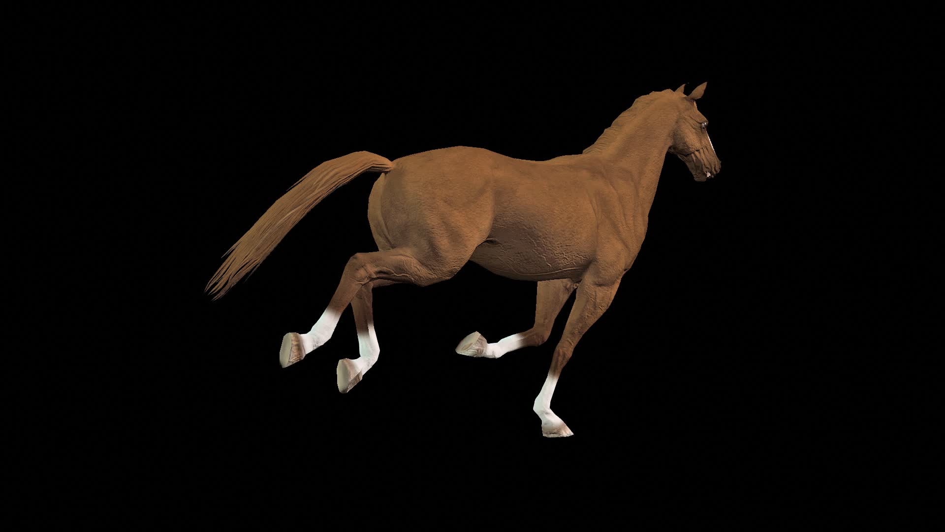 马奔跑透明动画素材
