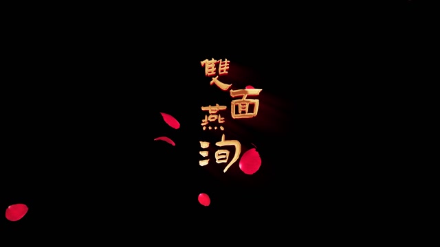 双面燕洵led视频背景