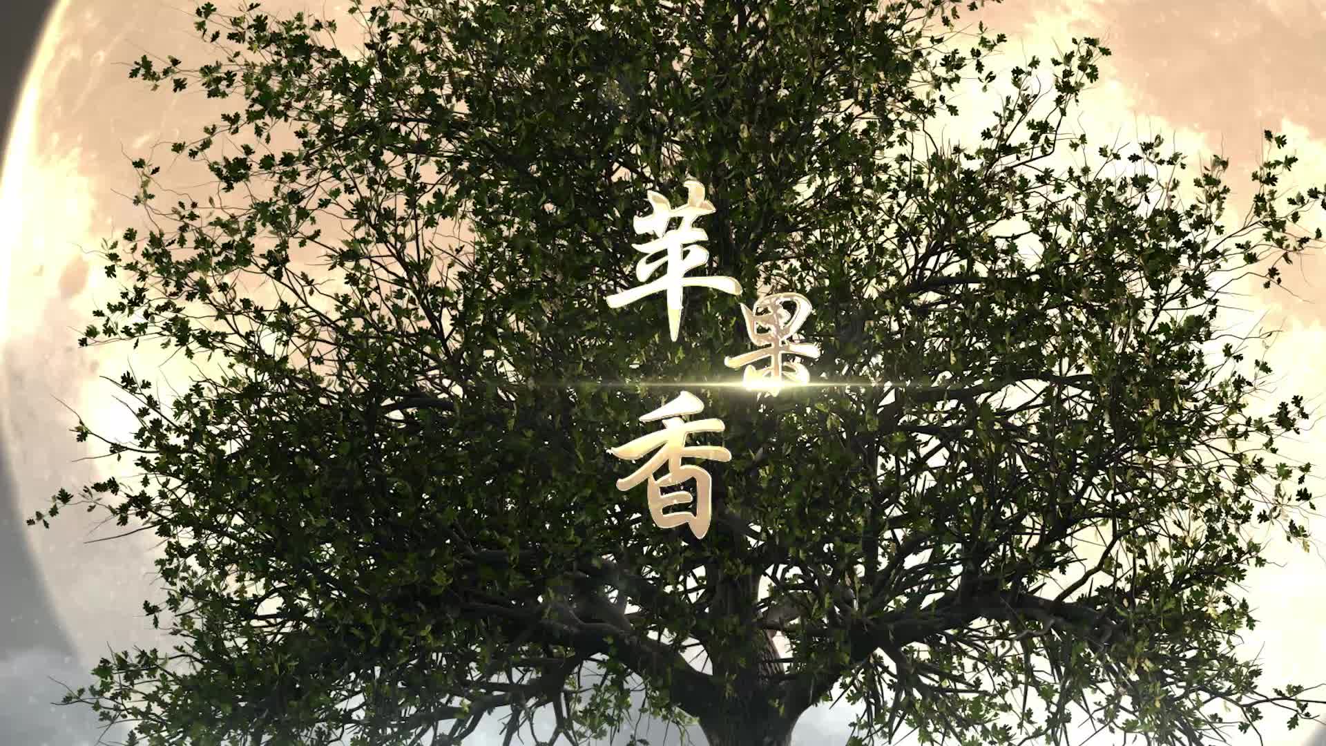 黑大婶歌曲苹果香led视频背景-有词