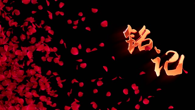 铭记led视频背景-无词花瓣