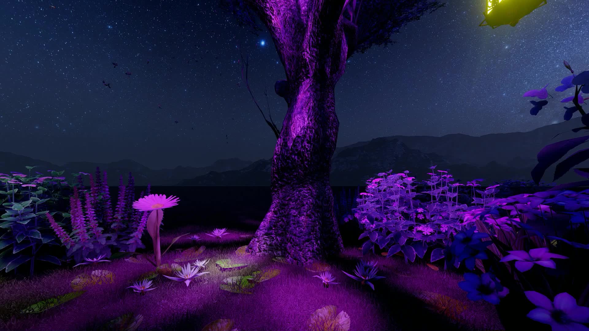 森林夜景三维动画