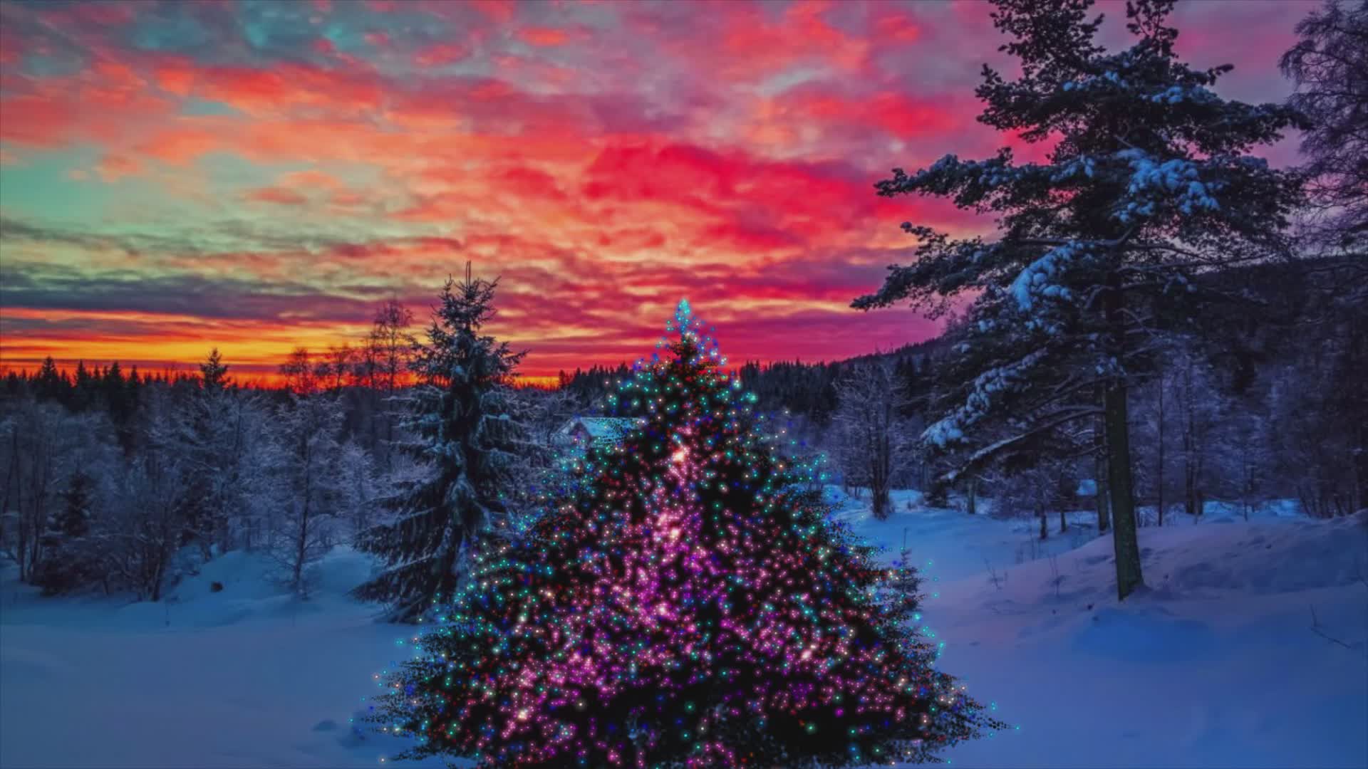 圣诞树冬季雪景视频素材