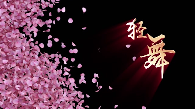 歌曲轻舞led视频背景-有词