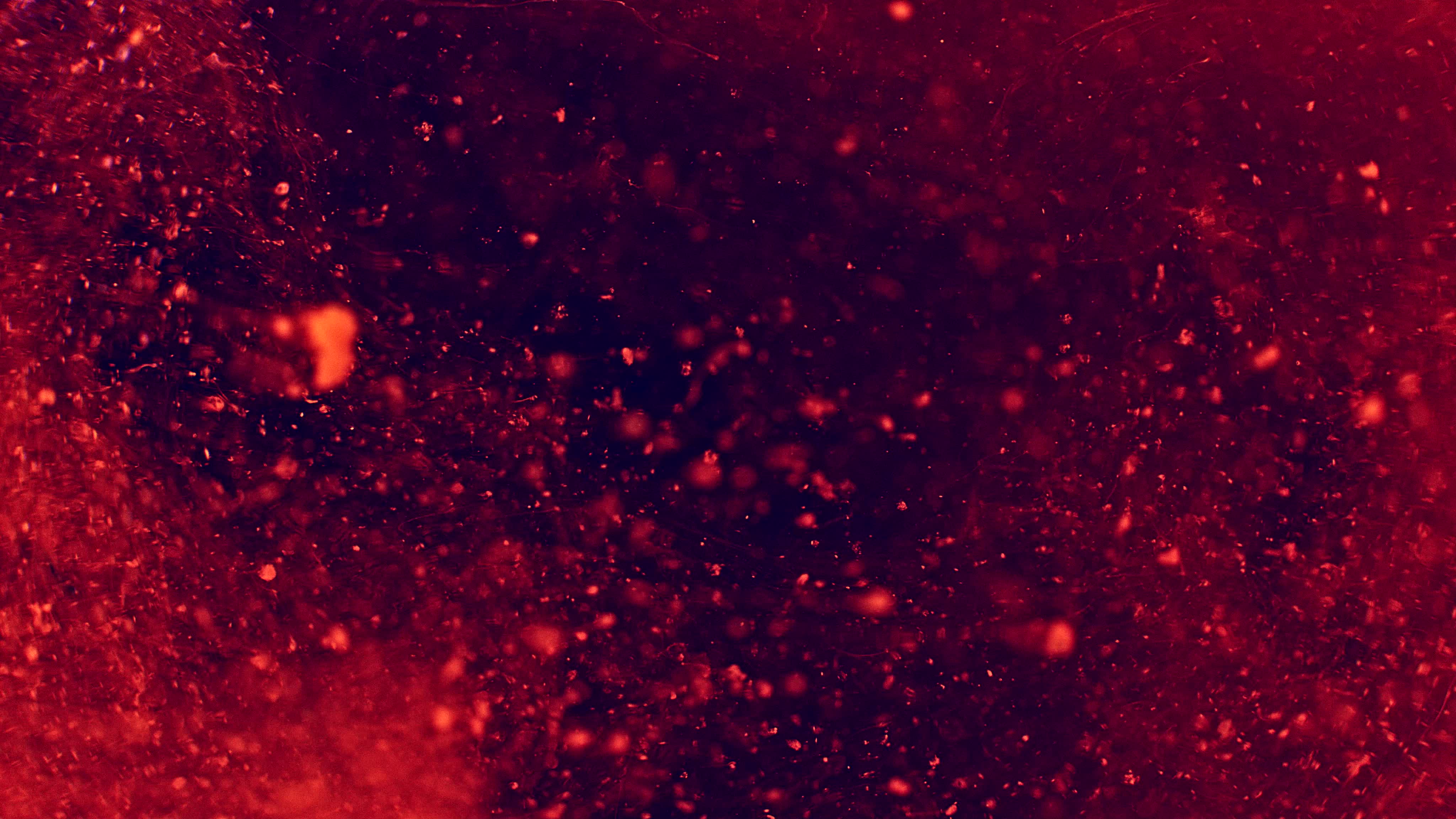 红色粒子流体烟雾背景视频背景素材