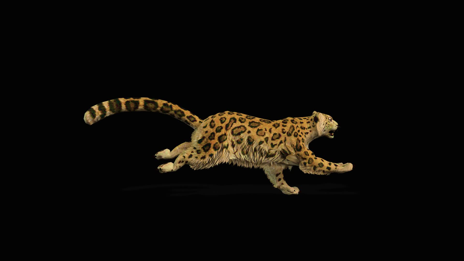 老虎奔跑动画透明素材