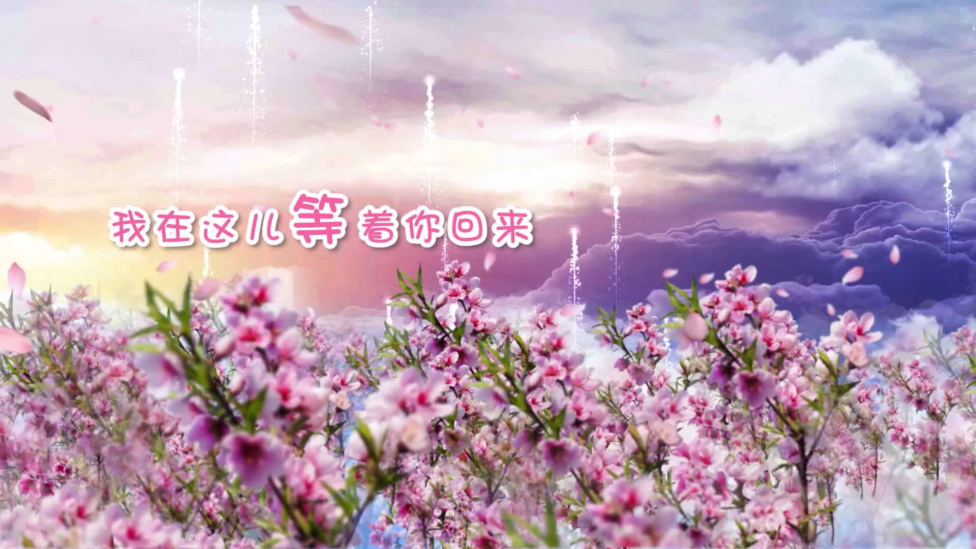 歌曲桃花朵朵开led视频背景