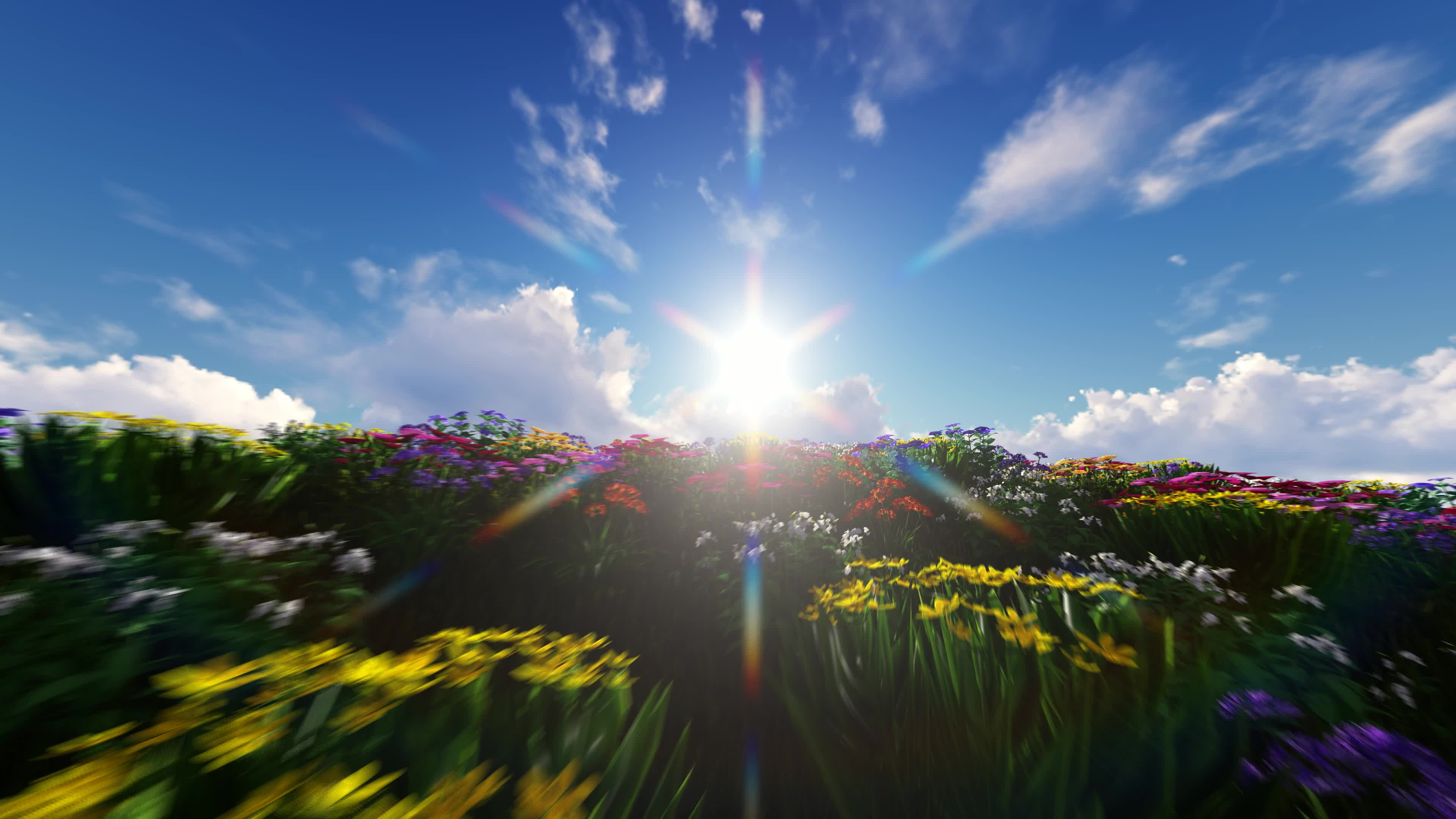 花海自然美景