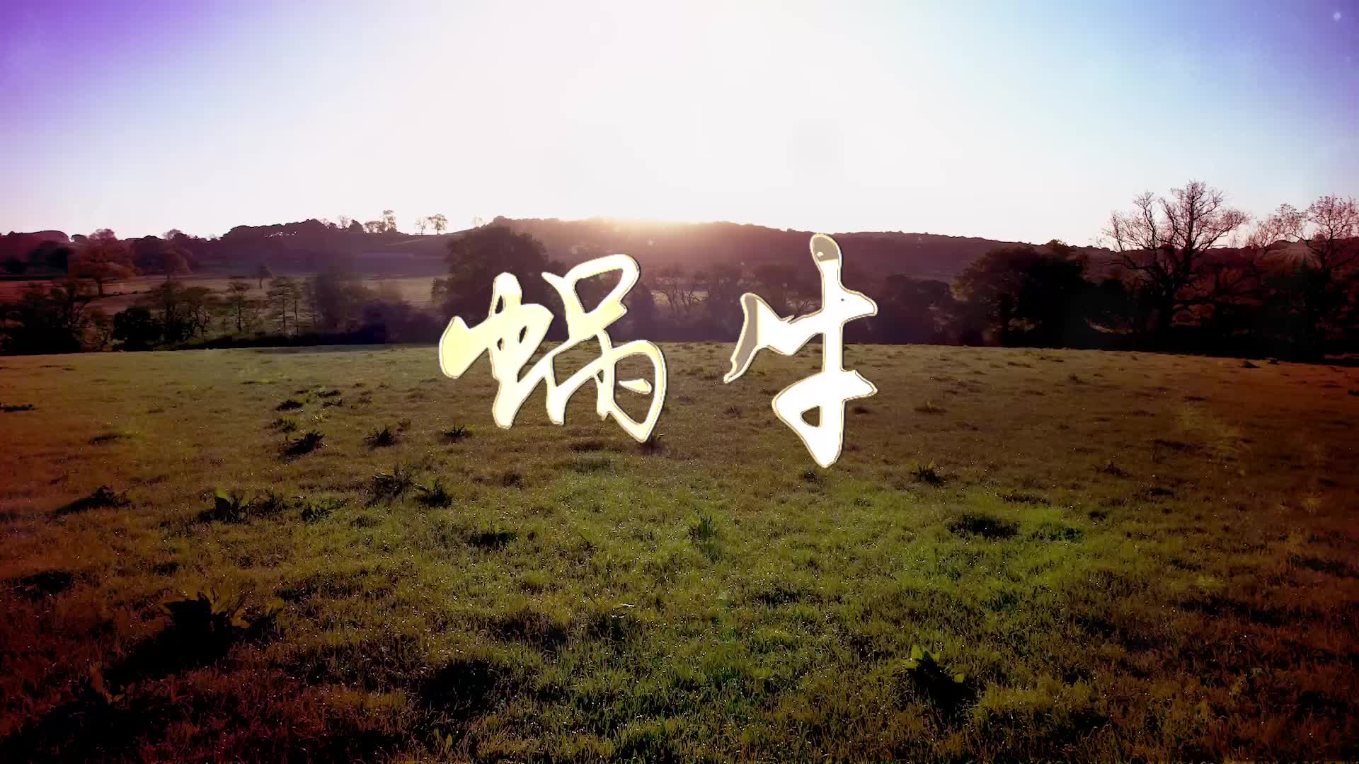 歌曲蜗牛视频背景-有词伴奏