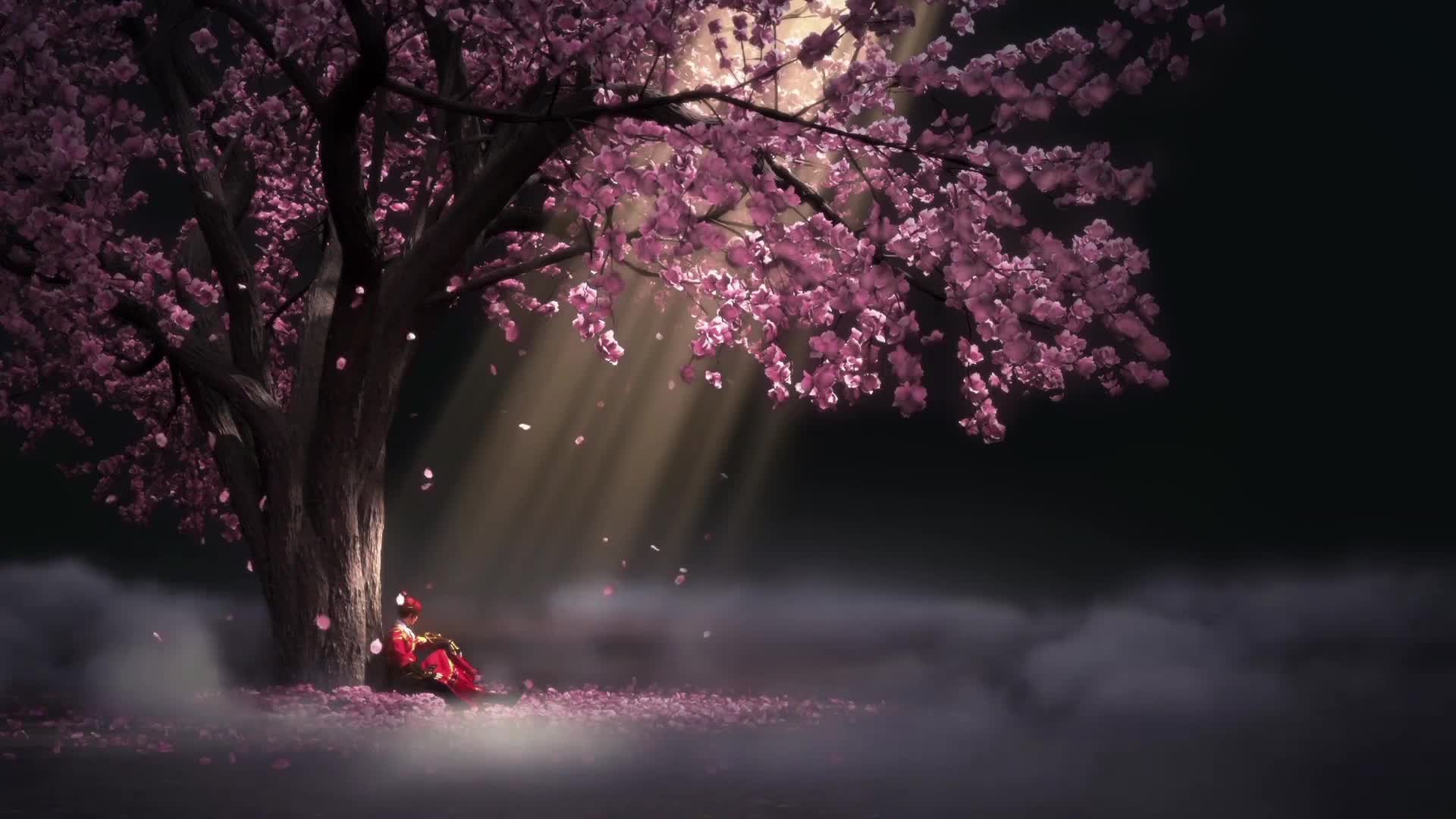 唯美梦幻樱花树下孤寂美女视频素材