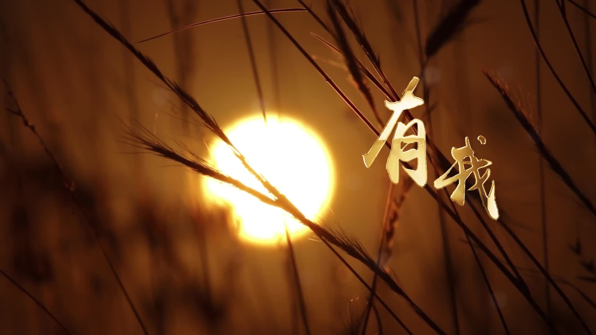 有我-上方歌词-和声