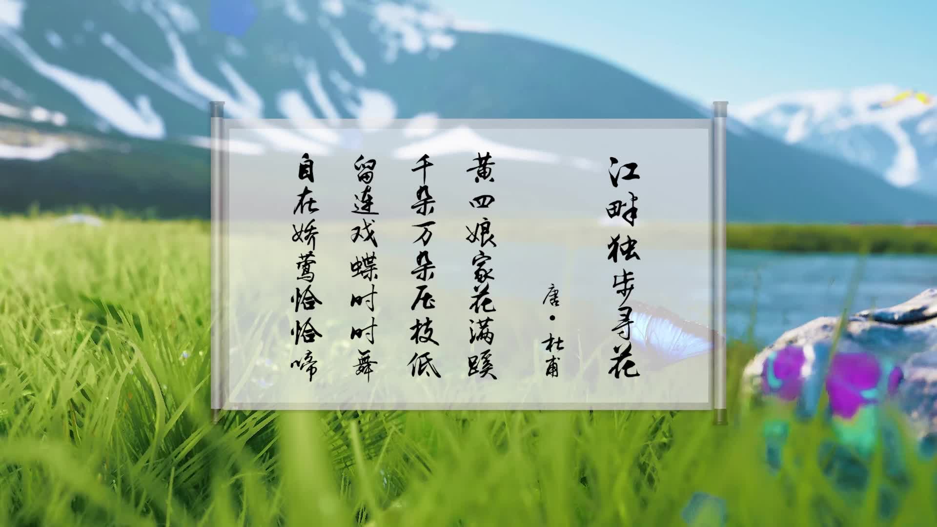 江畔独步寻花朗诵视频背景