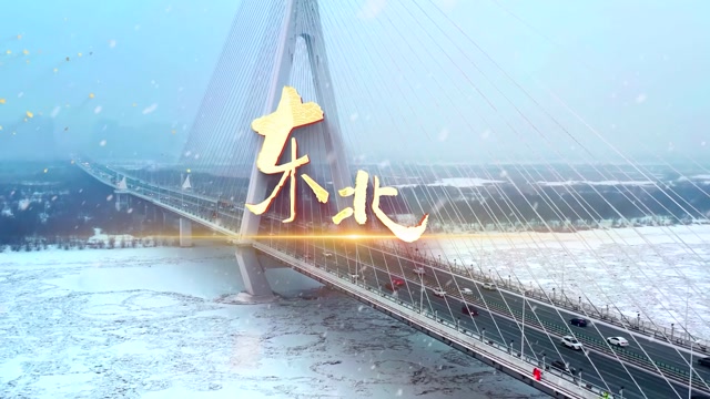 歌曲东北喊麦-加速版有词
