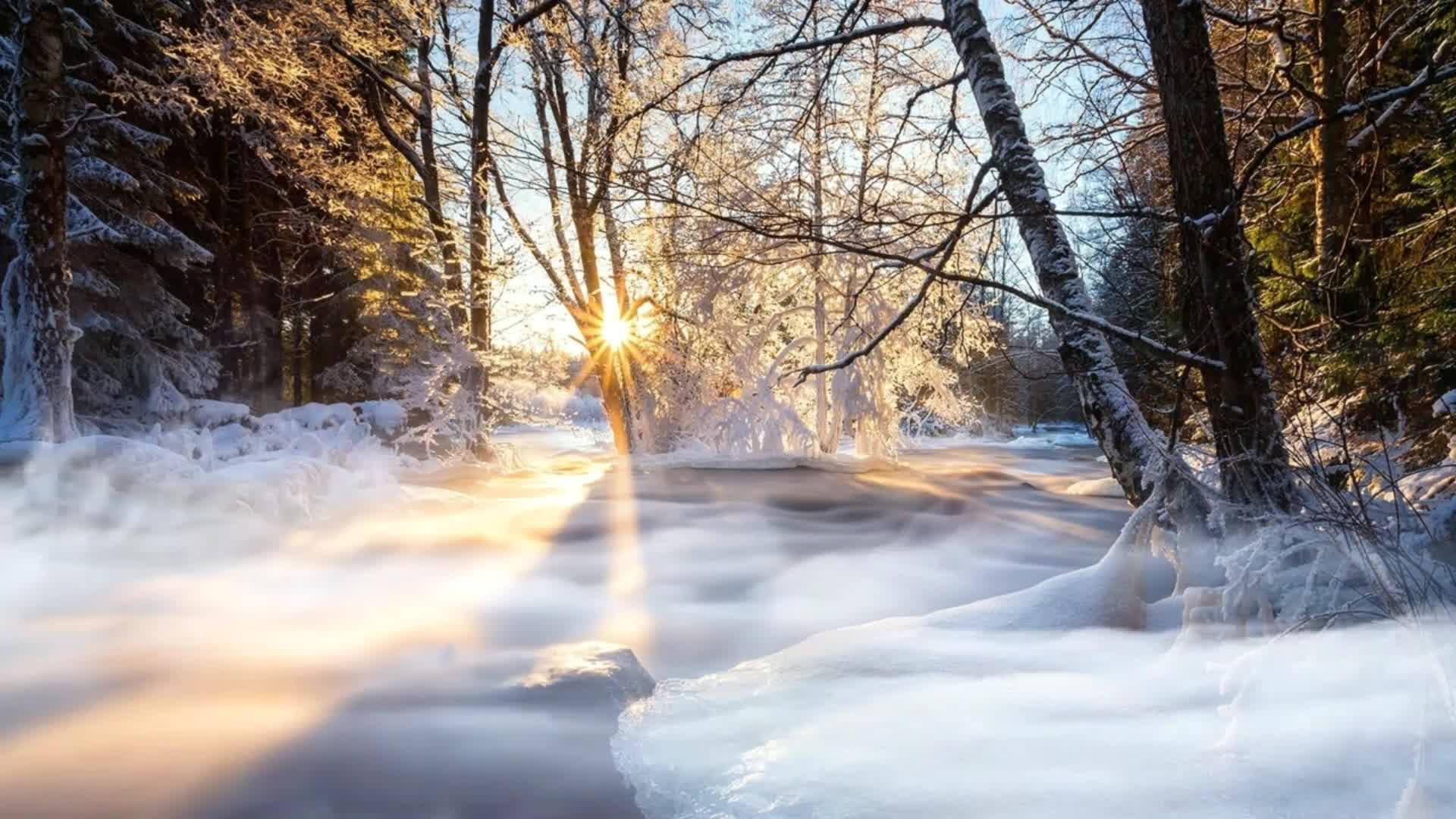 实拍森林冬季雪景