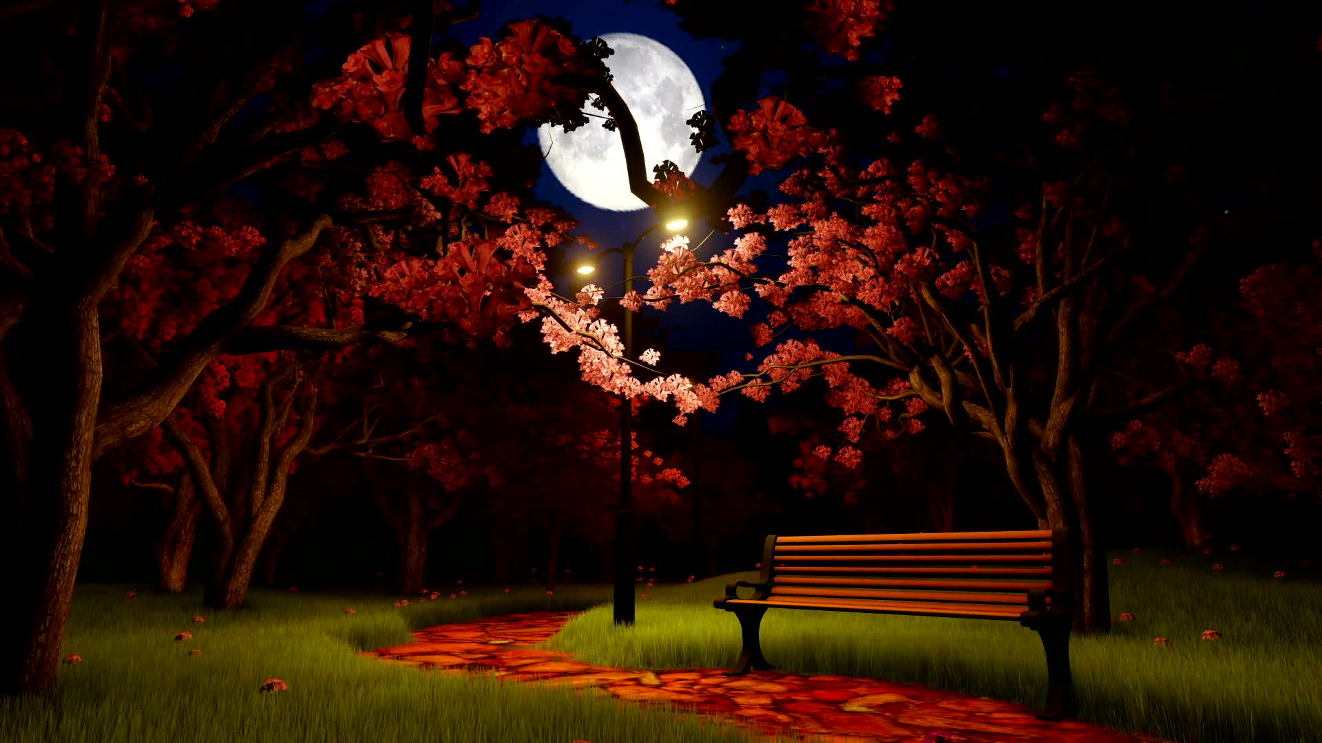 公园夜晚美景