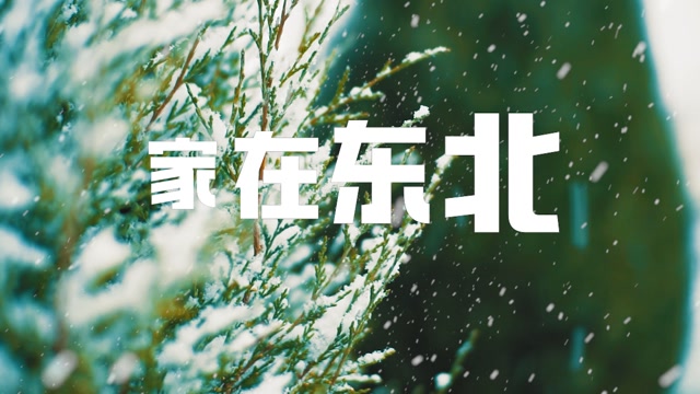 家在东北led视频背景-有词