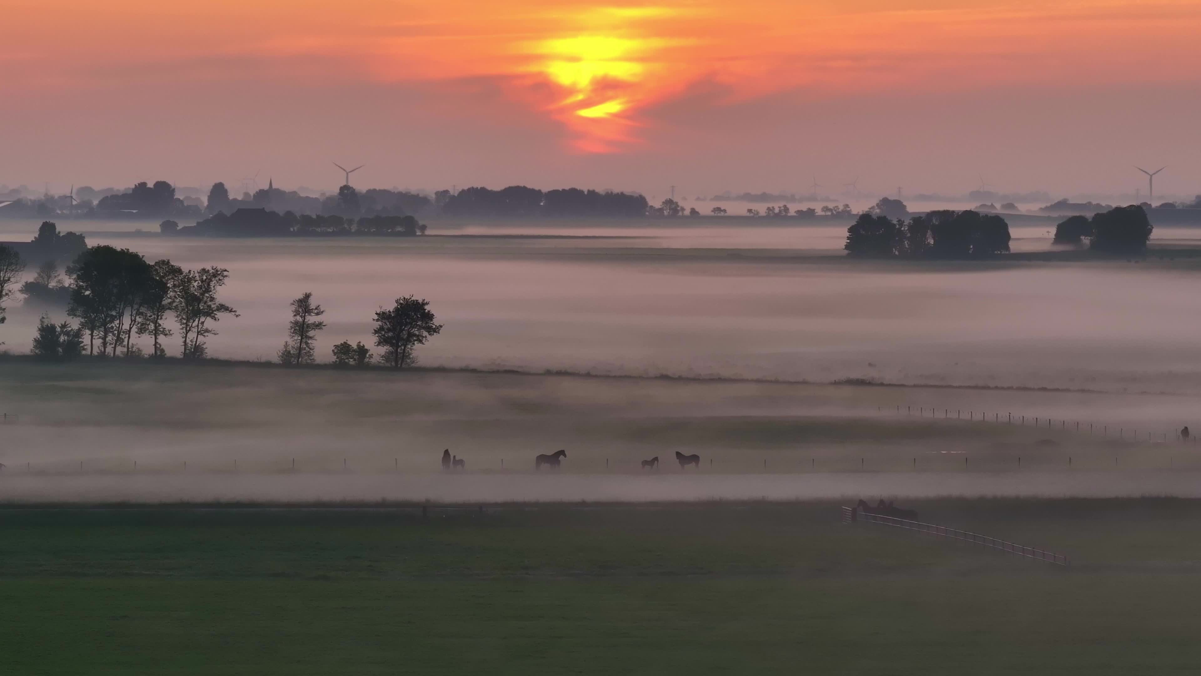 aerial-view-of-foggy-morning-with-horses-and-wind-2024-08-08-13-32-37-utc-livekong