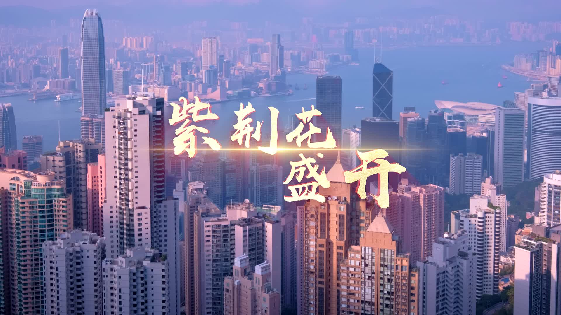 歌曲紫荆花盛开led视频背景-无词