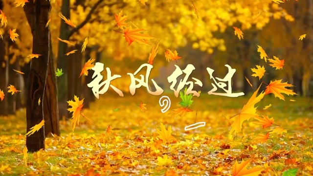 秋风经过led视频背景-有词