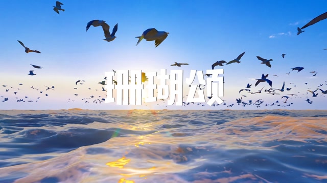 珊瑚颂led视频背景-dj无词