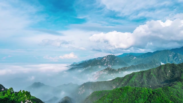 你是沉寂戈壁坚韧的红柳（配乐）