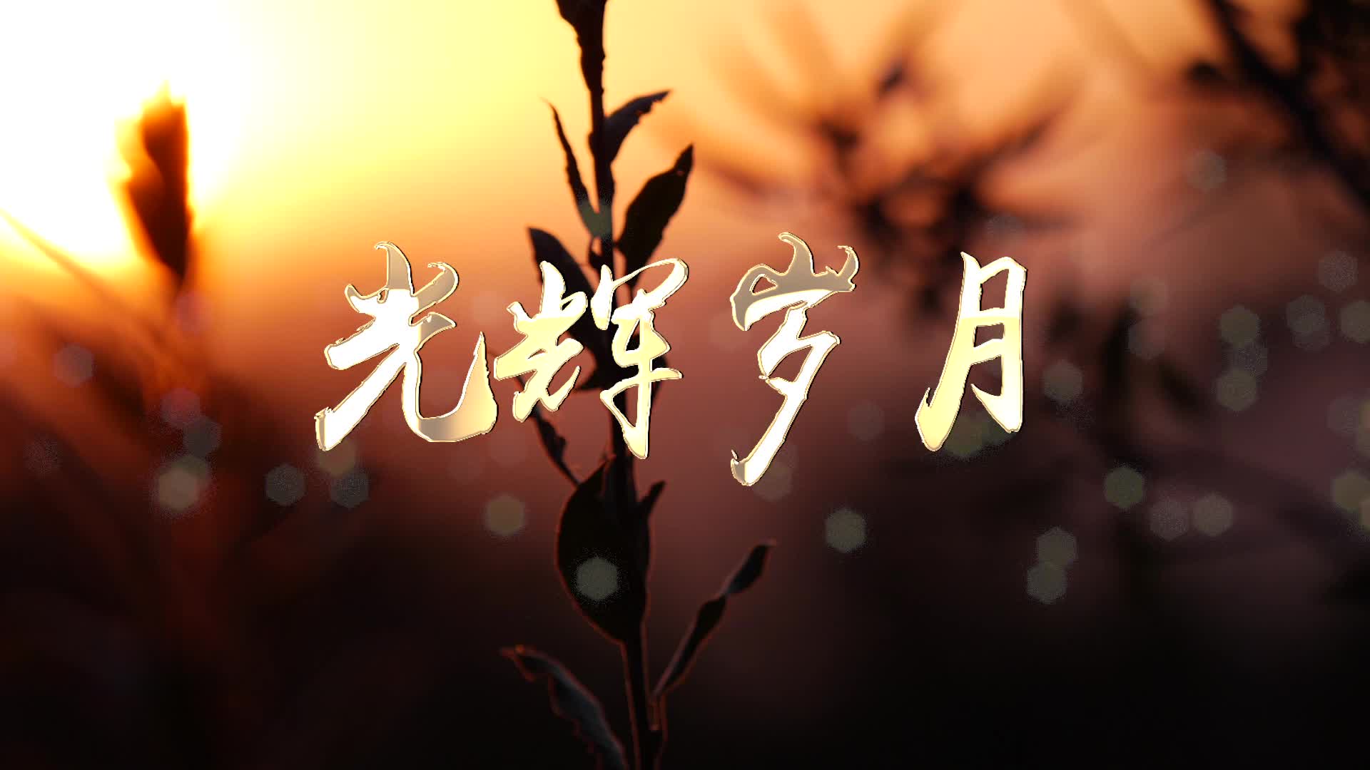 粤语光辉岁月背景-无词版