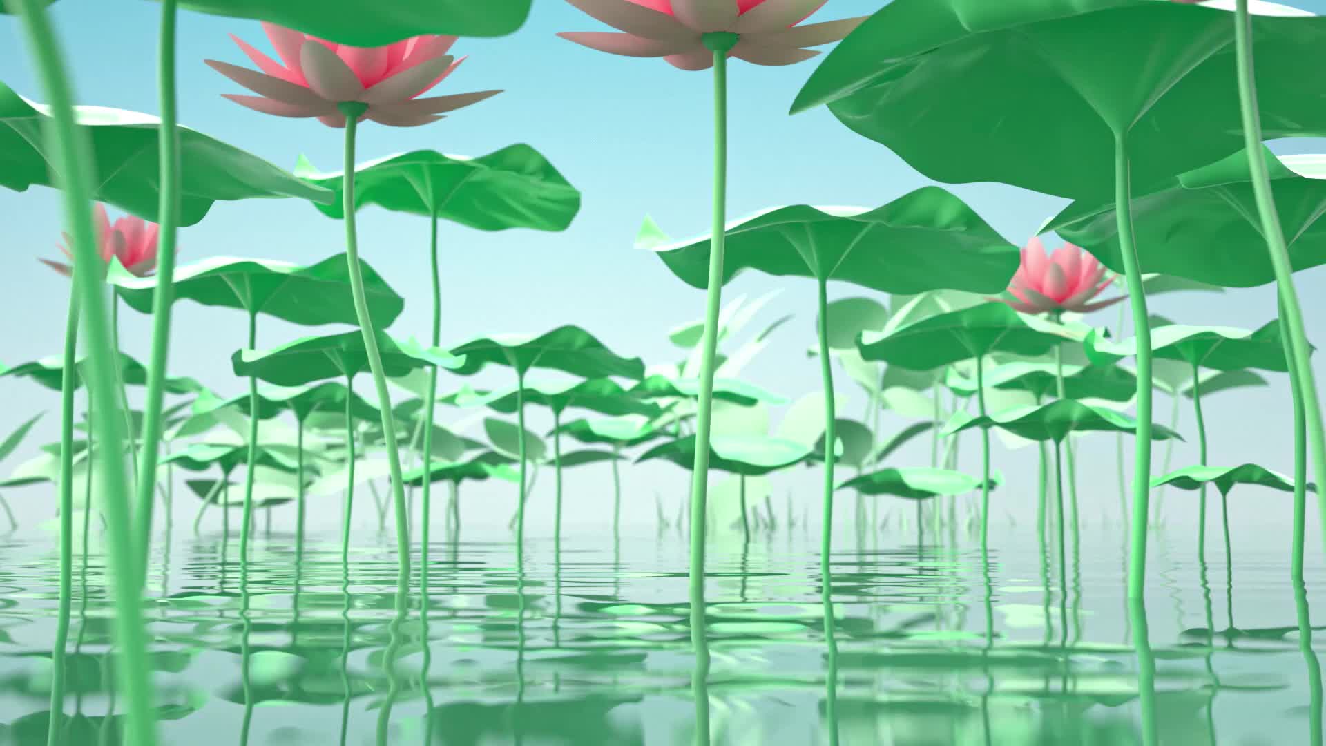 夏天荷花池动画素材