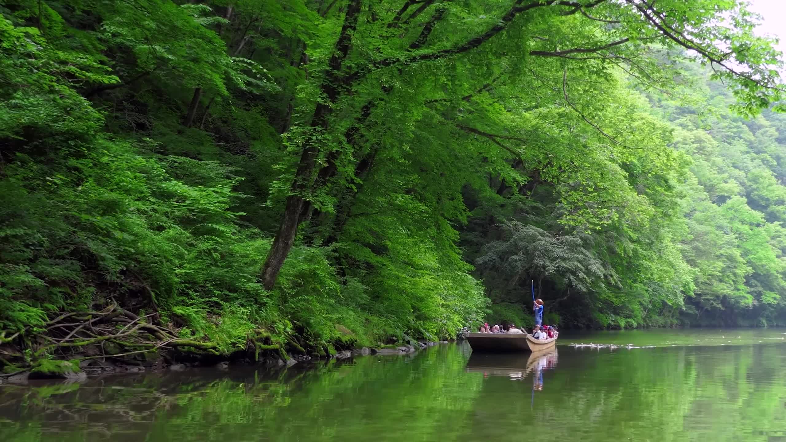 实拍桂林山水森林河流游船视频素材