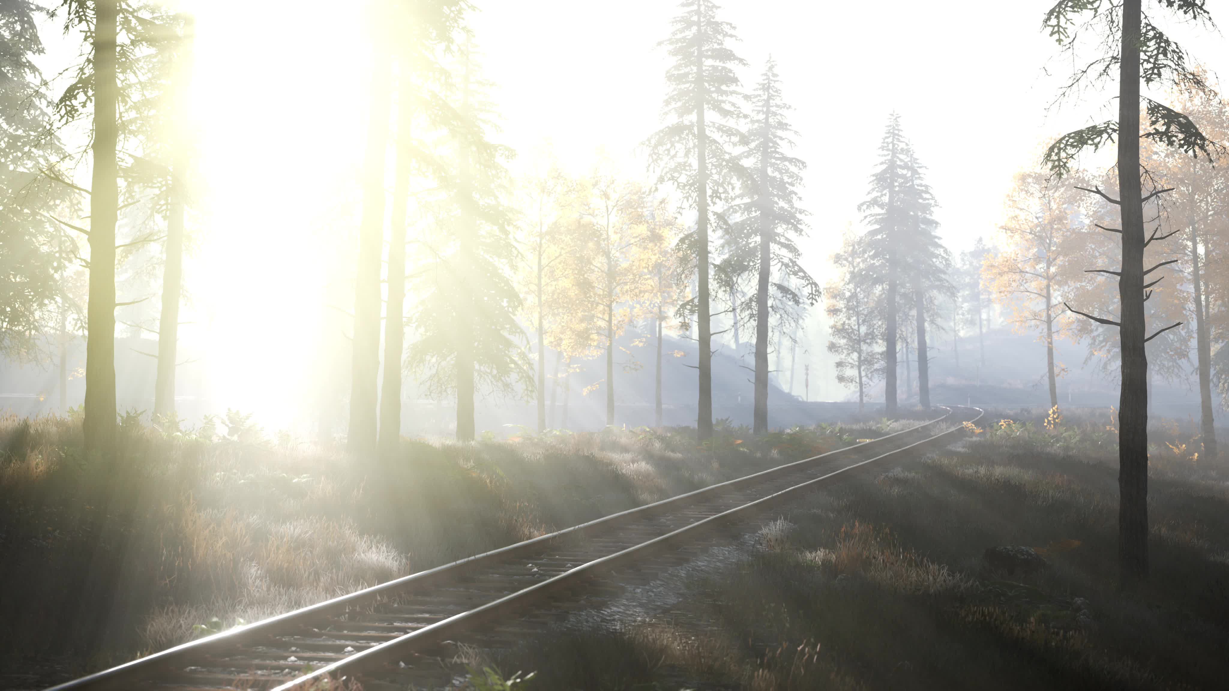 森林火车轨道
