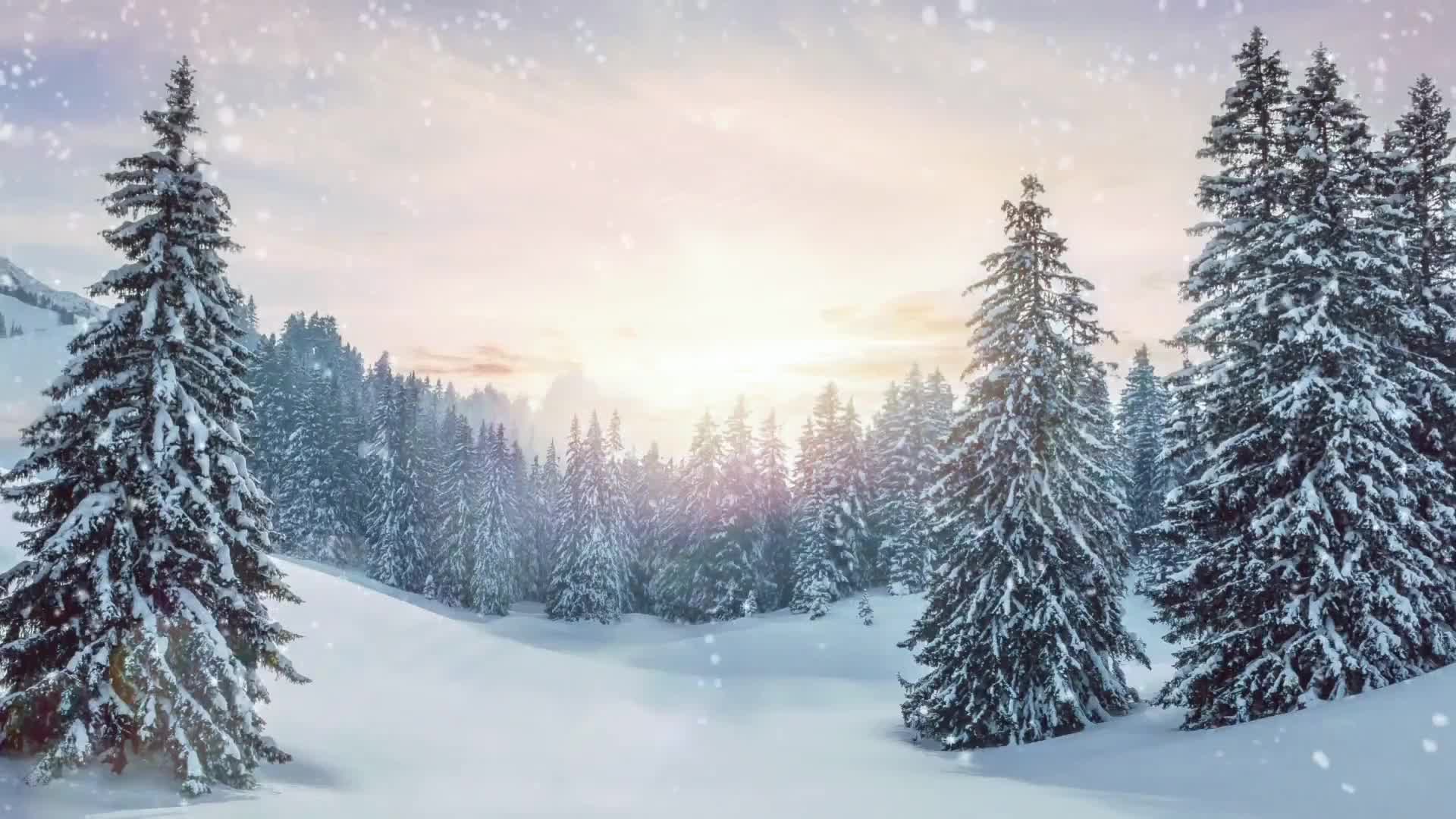 唯美冬天森林雪景