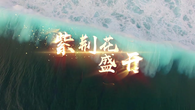 紫荆花盛开led视频背景-上方唱词