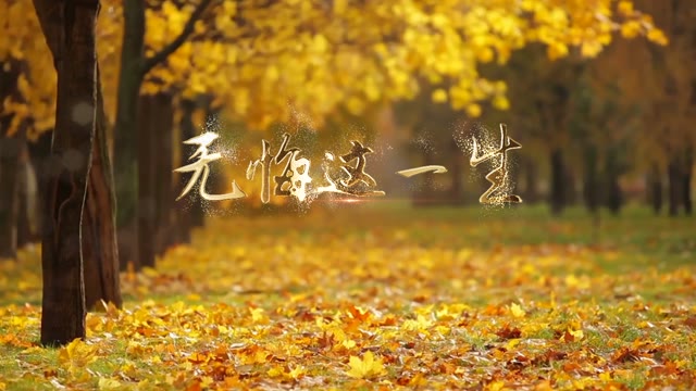 歌曲无悔这一生led视频背景-有词