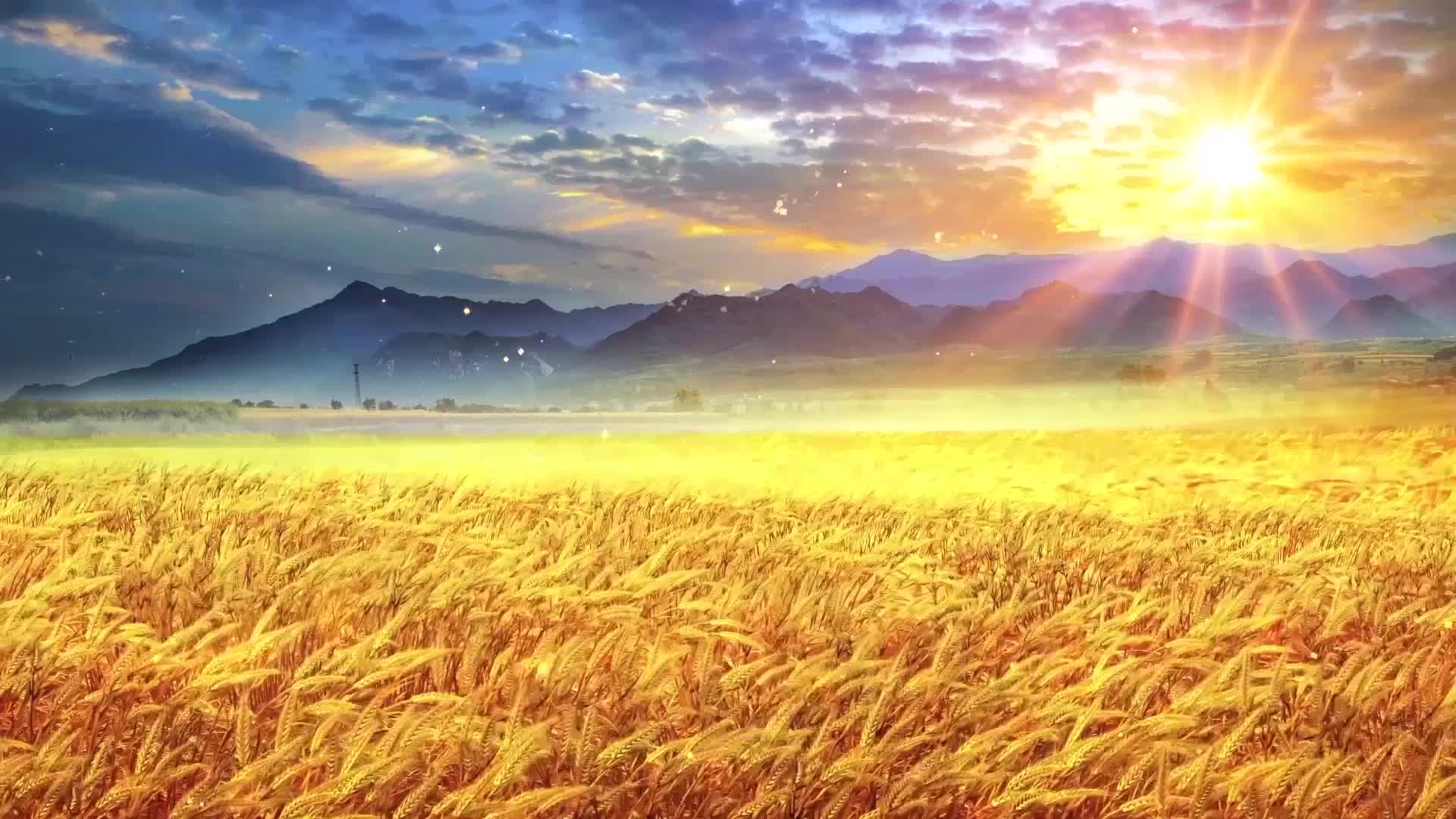 歌曲稻香led视频背景-无词