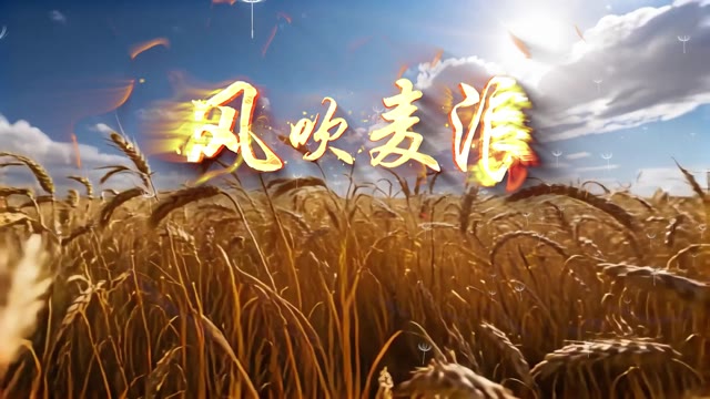 叶一茜歌曲风吹麦浪led视频背景-无词