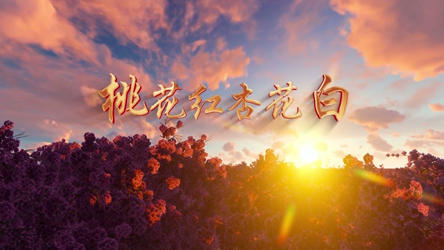 桃花红杏花白led视频背景-无词