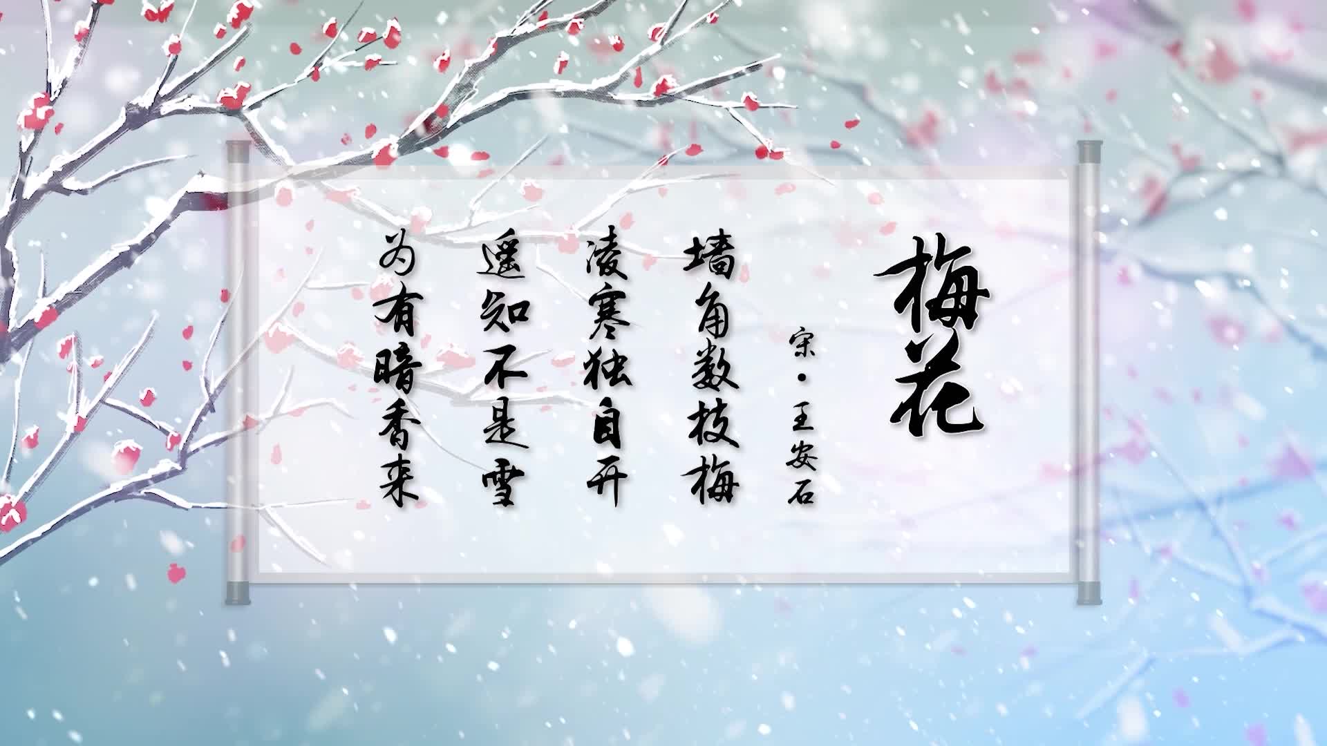 王安石梅花led视频背景