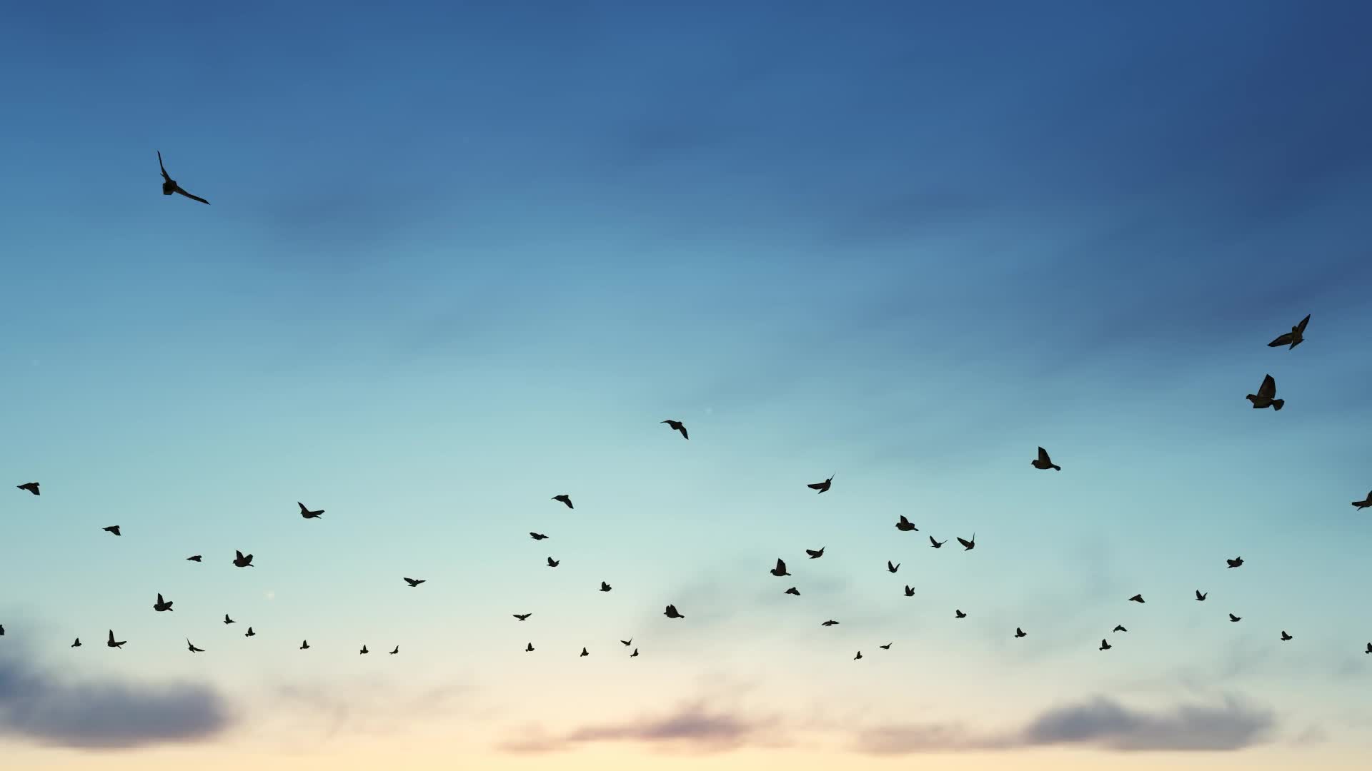 天空中一群鸟