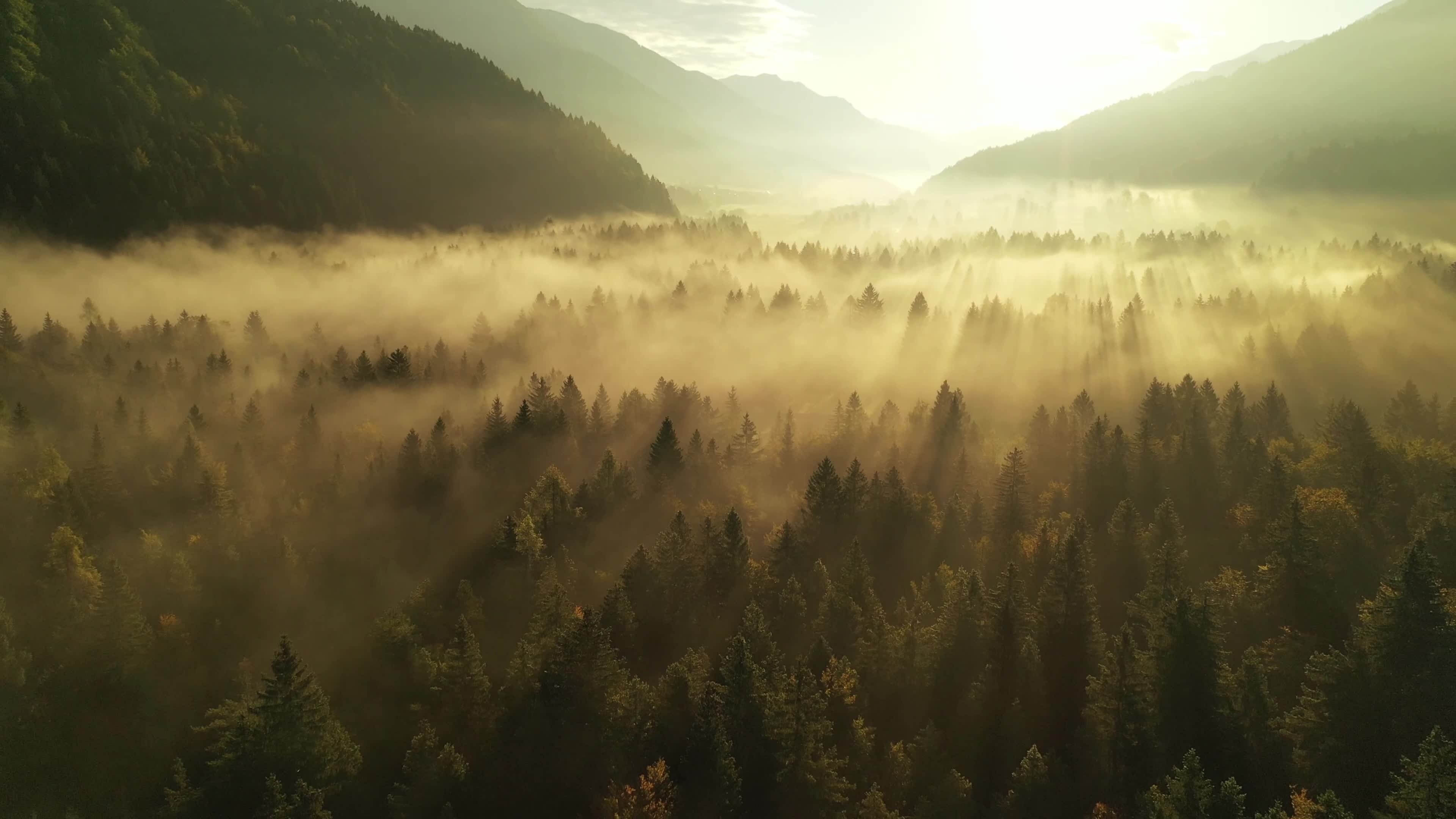 森林云雾大自然风景