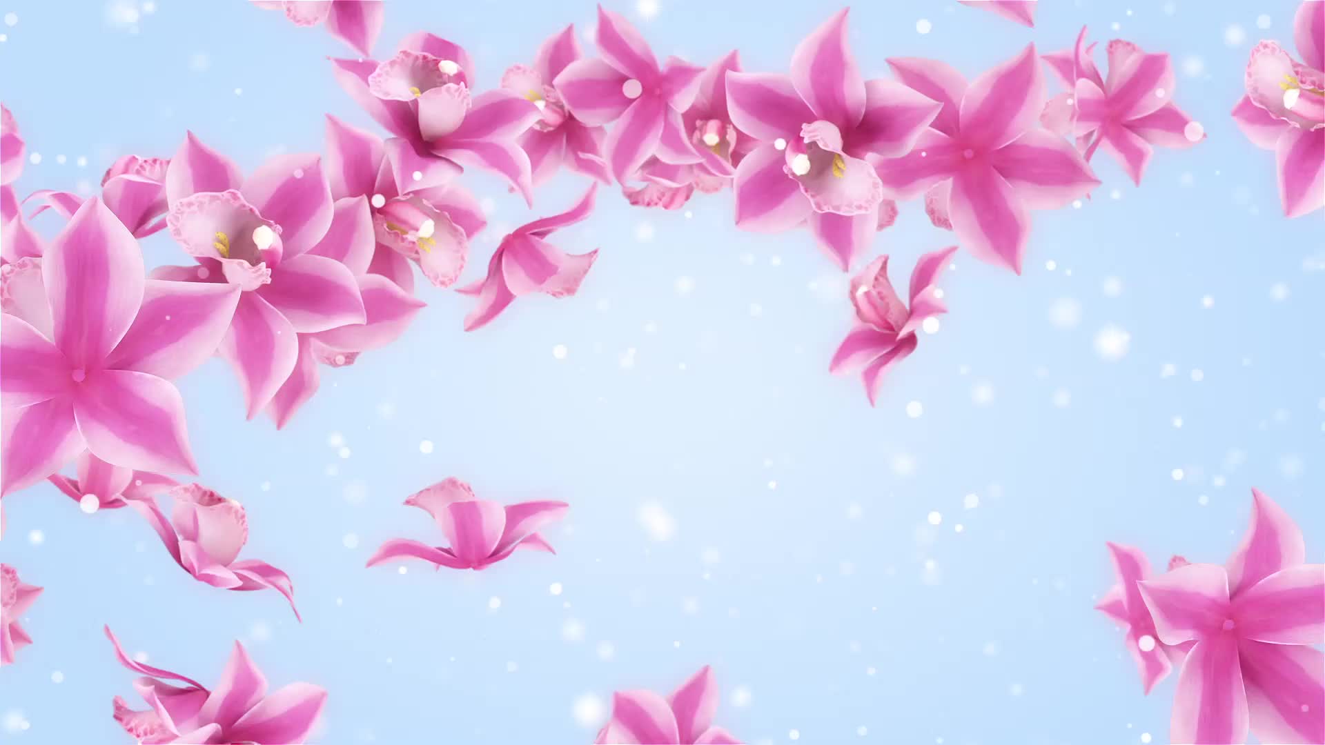 花朵动态视频背景