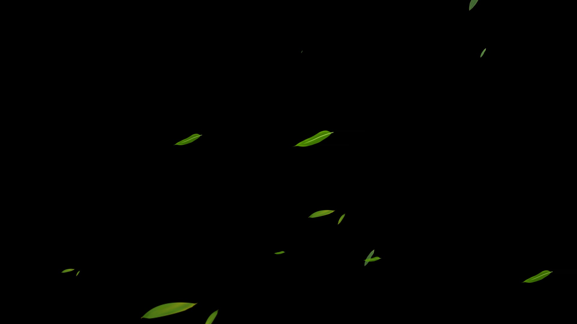 粒子树叶柳叶飘落元素透明通道视频素材
