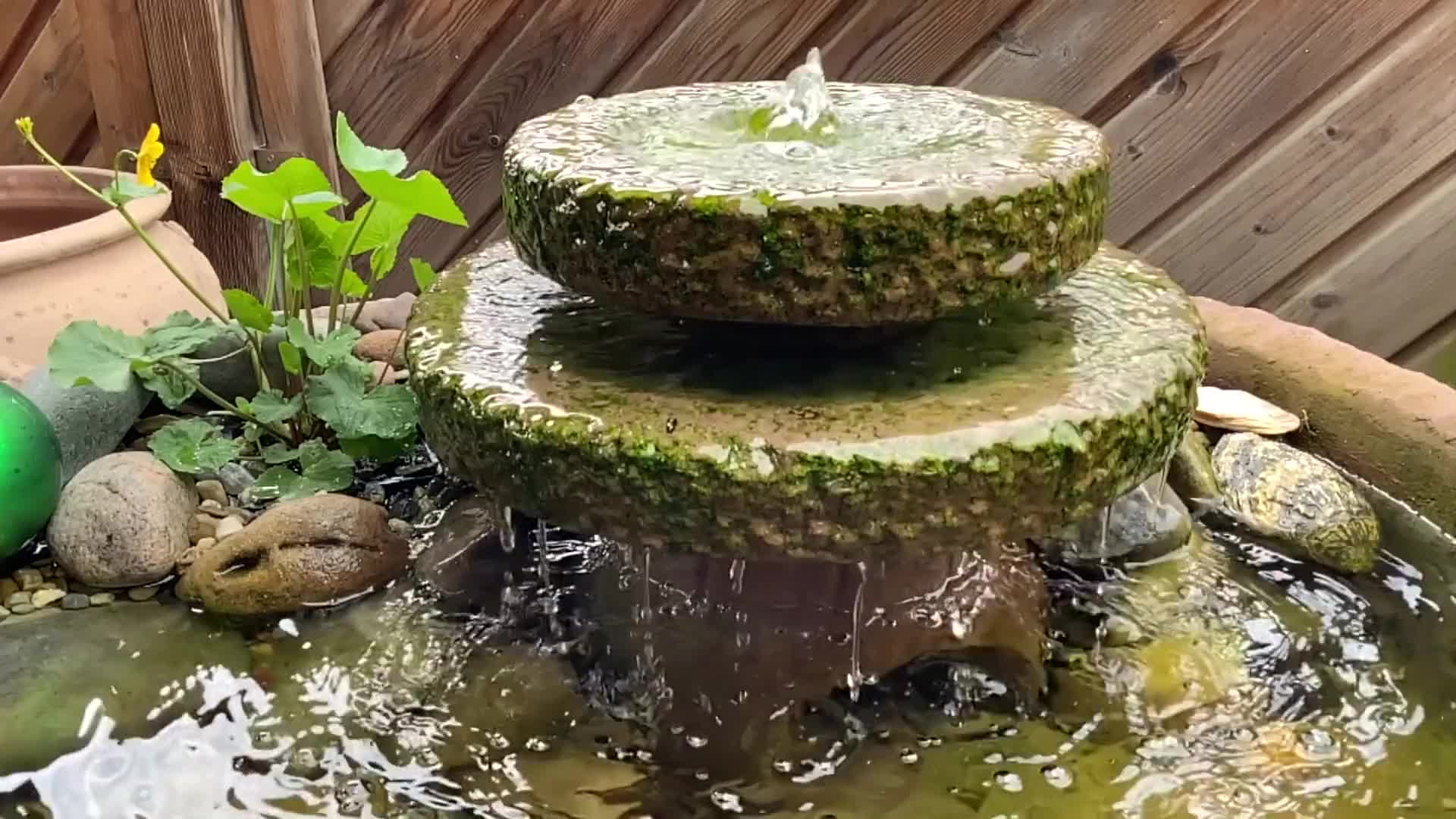 实拍庭院景观小瀑布水景视频素材