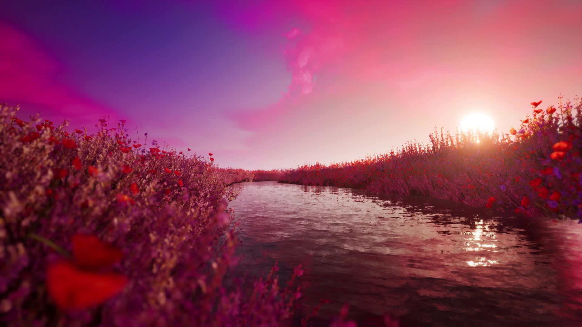落日下小溪