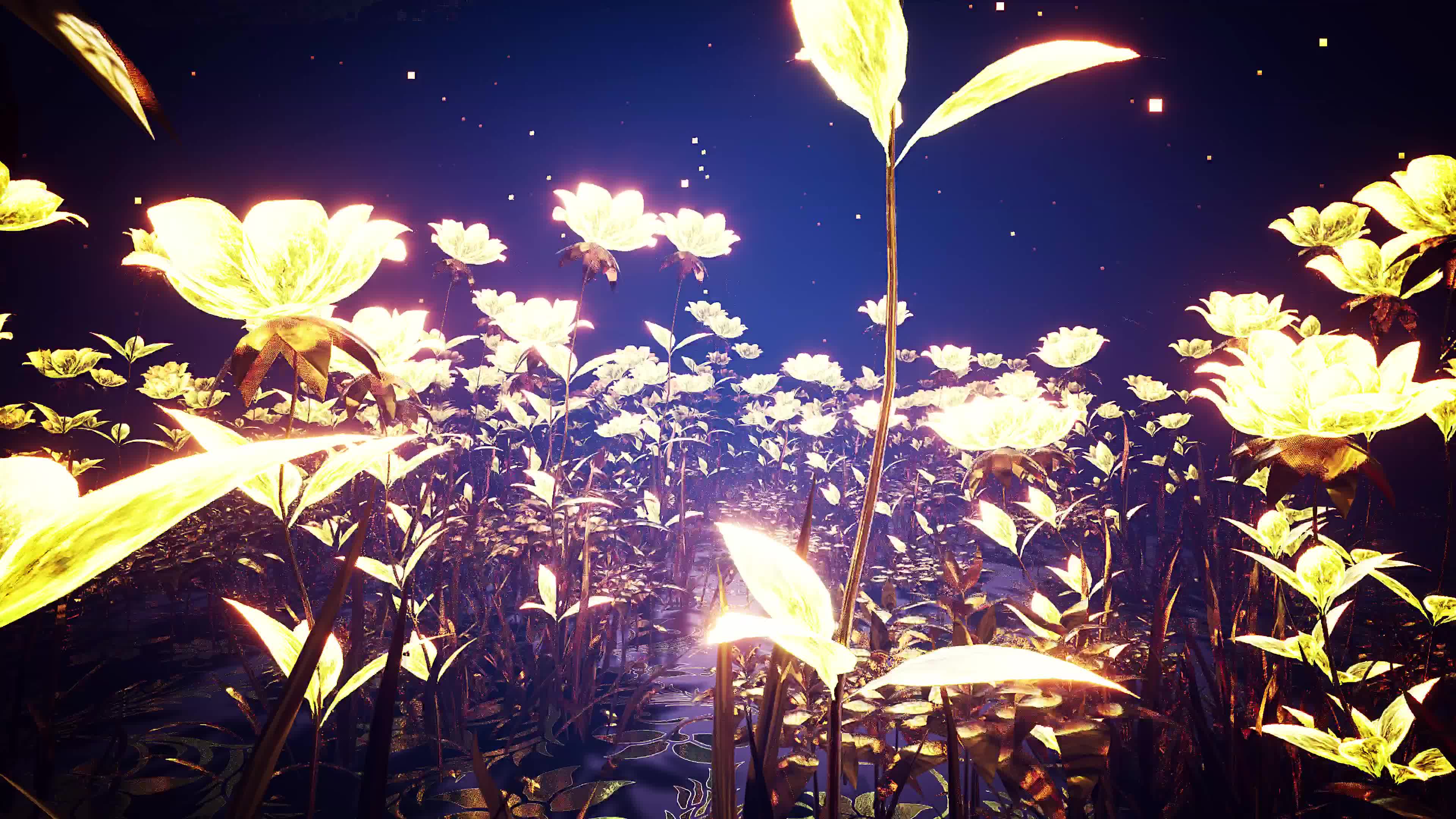 花园夜景